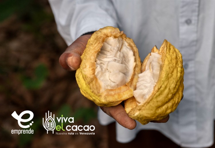 El IESA y Viva el Cacao resaltan el valor del cacao venezolano como oportunidad de negocio en foro del 19/octubre